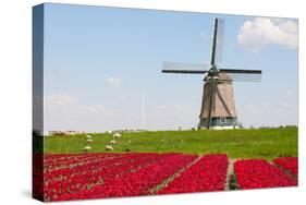 Tulips and Windmill-ErikdeGraaf-Stretched Canvas