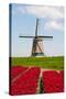 Tulips and Windmill-ErikdeGraaf-Stretched Canvas