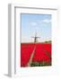 Tulips and Windmill-ErikdeGraaf-Framed Photographic Print