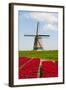 Tulips and Windmill-ErikdeGraaf-Framed Photographic Print