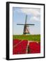 Tulips and Windmill-ErikdeGraaf-Framed Photographic Print