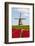 Tulips and Windmill-ErikdeGraaf-Framed Photographic Print