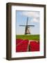 Tulips and Windmill-ErikdeGraaf-Framed Photographic Print