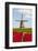 Tulips and Windmill-ErikdeGraaf-Framed Photographic Print