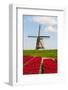 Tulips and Windmill-ErikdeGraaf-Framed Photographic Print