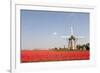 Tulips and Windmill-ErikdeGraaf-Framed Photographic Print