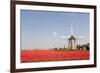 Tulips and Windmill-ErikdeGraaf-Framed Photographic Print