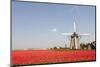 Tulips and Windmill-ErikdeGraaf-Mounted Photographic Print