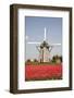 Tulips and Windmill-ErikdeGraaf-Framed Photographic Print