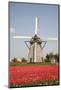 Tulips and Windmill-ErikdeGraaf-Mounted Photographic Print