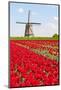 Tulips and Windmill-ErikdeGraaf-Mounted Photographic Print