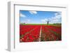 Tulips and Windmill-ErikdeGraaf-Framed Photographic Print