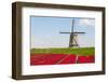 Tulips and Windmill-ErikdeGraaf-Framed Photographic Print