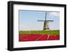 Tulips and Windmill-ErikdeGraaf-Framed Photographic Print