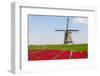 Tulips and Windmill-ErikdeGraaf-Framed Photographic Print