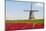 Tulips and Windmill-ErikdeGraaf-Mounted Photographic Print