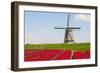 Tulips and Windmill-ErikdeGraaf-Framed Photographic Print