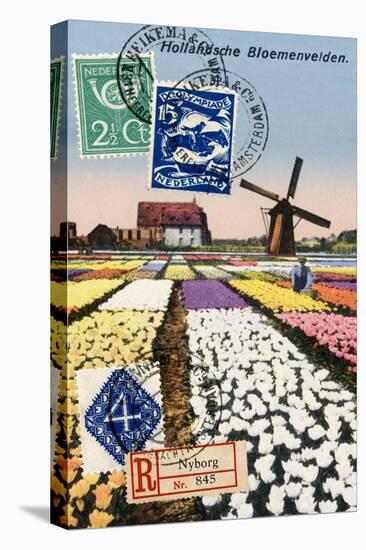 Tulips and Windmills, Dutch Vintage Postcard Collage-Piddix-Stretched Canvas