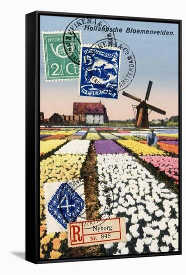 Tulips and Windmills, Dutch Vintage Postcard Collage-Piddix-Framed Stretched Canvas