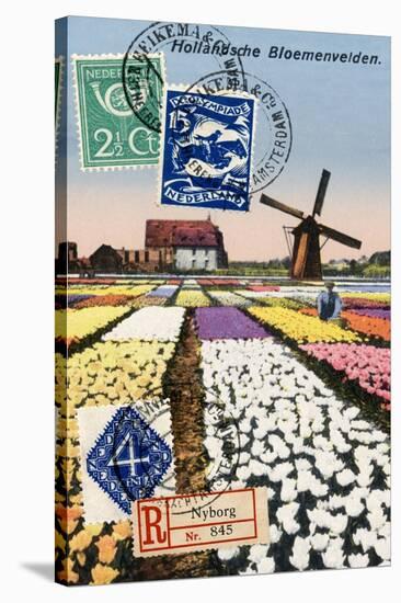 Tulips and Windmills, Dutch Vintage Postcard Collage-Piddix-Stretched Canvas