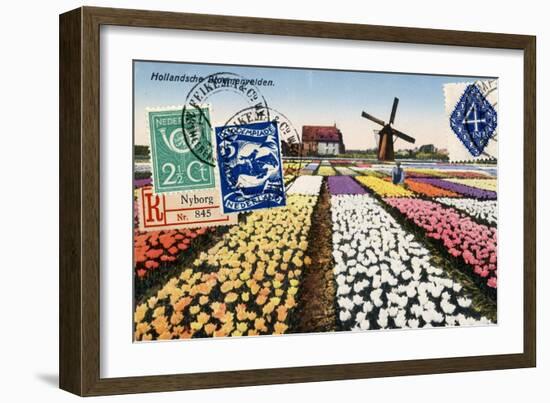 Tulips and Windmills, Dutch Vintage Postcard Collage-Piddix-Framed Art Print