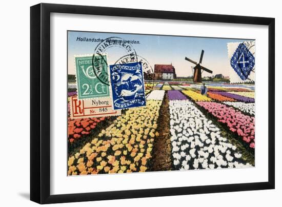 Tulips and Windmills, Dutch Vintage Postcard Collage-Piddix-Framed Art Print