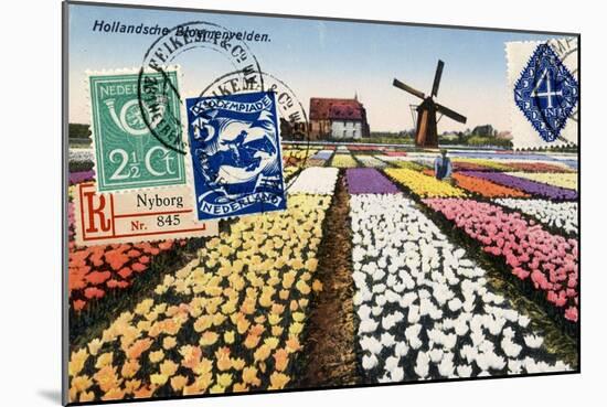 Tulips and Windmills, Dutch Vintage Postcard Collage-Piddix-Mounted Art Print