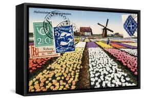 Tulips and Windmills, Dutch Vintage Postcard Collage-Piddix-Framed Stretched Canvas