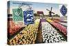 Tulips and Windmills, Dutch Vintage Postcard Collage-Piddix-Stretched Canvas