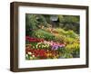 Tulips at Little Larford-Clive Nichols-Framed Premium Photographic Print