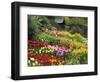 Tulips at Little Larford-Clive Nichols-Framed Premium Photographic Print