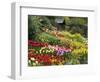 Tulips at Little Larford-Clive Nichols-Framed Premium Photographic Print