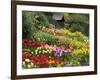 Tulips at Little Larford-Clive Nichols-Framed Photographic Print