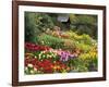 Tulips at Little Larford-Clive Nichols-Framed Photographic Print