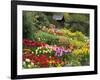 Tulips at Little Larford-Clive Nichols-Framed Photographic Print