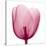 Tulips B (Positive)-Steven N^ Meyers-Stretched Canvas