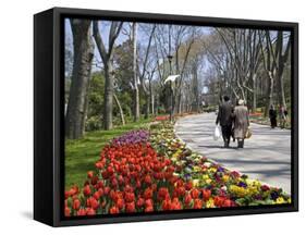 Tulips Bloom in Gulhane Park, Istanbul, Turkey-Julian Love-Framed Stretched Canvas