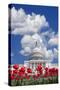 Tulips Blooming in Front of the Capitol Building, Washington DC, USA-Jaynes Gallery-Stretched Canvas