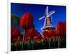 Tulips blooming on field against De Zwaan Windmill in Windmill Island Gardens, Holland, Michigan...-null-Framed Photographic Print