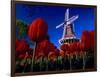 Tulips blooming on field against De Zwaan Windmill in Windmill Island Gardens, Holland, Michigan...-null-Framed Photographic Print