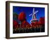 Tulips blooming on field against De Zwaan Windmill in Windmill Island Gardens, Holland, Michigan...-null-Framed Photographic Print