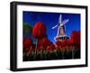 Tulips blooming on field against De Zwaan Windmill in Windmill Island Gardens, Holland, Michigan...-null-Framed Photographic Print