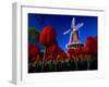 Tulips blooming on field against De Zwaan Windmill in Windmill Island Gardens, Holland, Michigan...-null-Framed Photographic Print