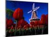 Tulips blooming on field against De Zwaan Windmill in Windmill Island Gardens, Holland, Michigan...-null-Mounted Photographic Print