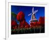 Tulips blooming on field against De Zwaan Windmill in Windmill Island Gardens, Holland, Michigan...-null-Framed Photographic Print