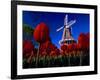 Tulips blooming on field against De Zwaan Windmill in Windmill Island Gardens, Holland, Michigan...-null-Framed Photographic Print