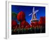 Tulips blooming on field against De Zwaan Windmill in Windmill Island Gardens, Holland, Michigan...-null-Framed Photographic Print