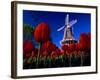 Tulips blooming on field against De Zwaan Windmill in Windmill Island Gardens, Holland, Michigan...-null-Framed Photographic Print