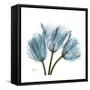 Tulips Blue-Albert Koetsier-Framed Stretched Canvas