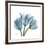 Tulips Blue-Albert Koetsier-Framed Premium Giclee Print